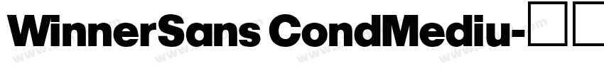 WinnerSans CondMediu字体转换